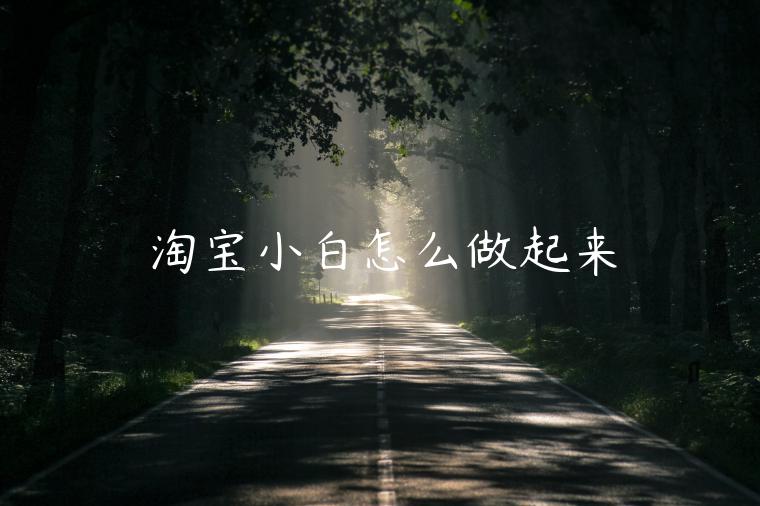 淘寶小白怎么做起來